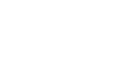 DIZV White_1